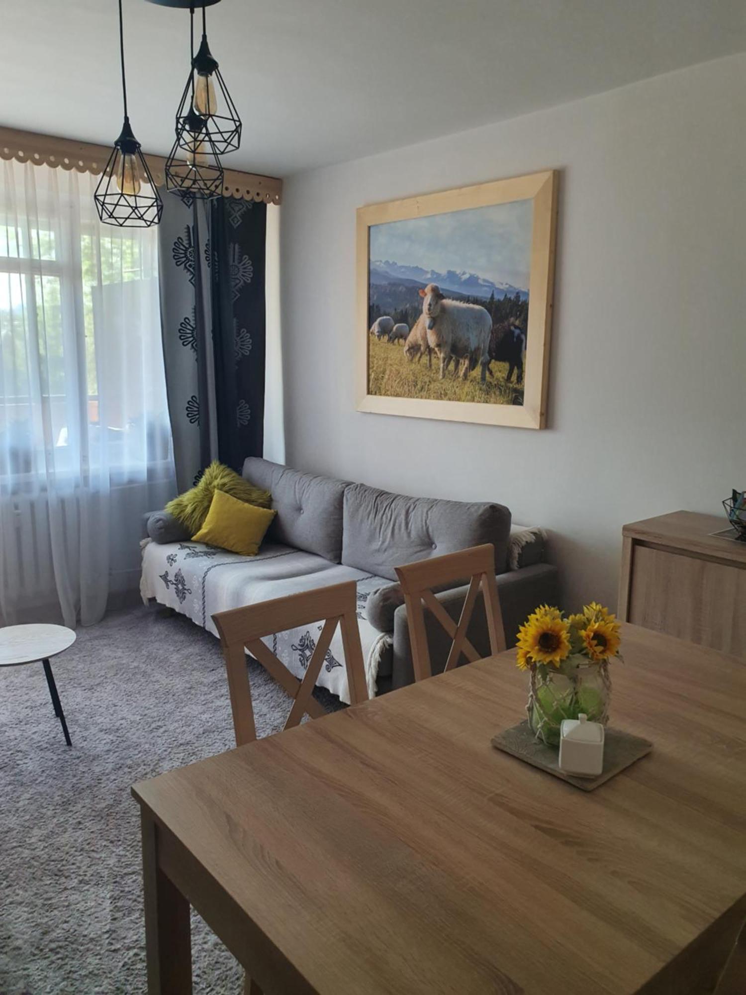 Apartament Regionalny Centrum Zakopane Camera foto